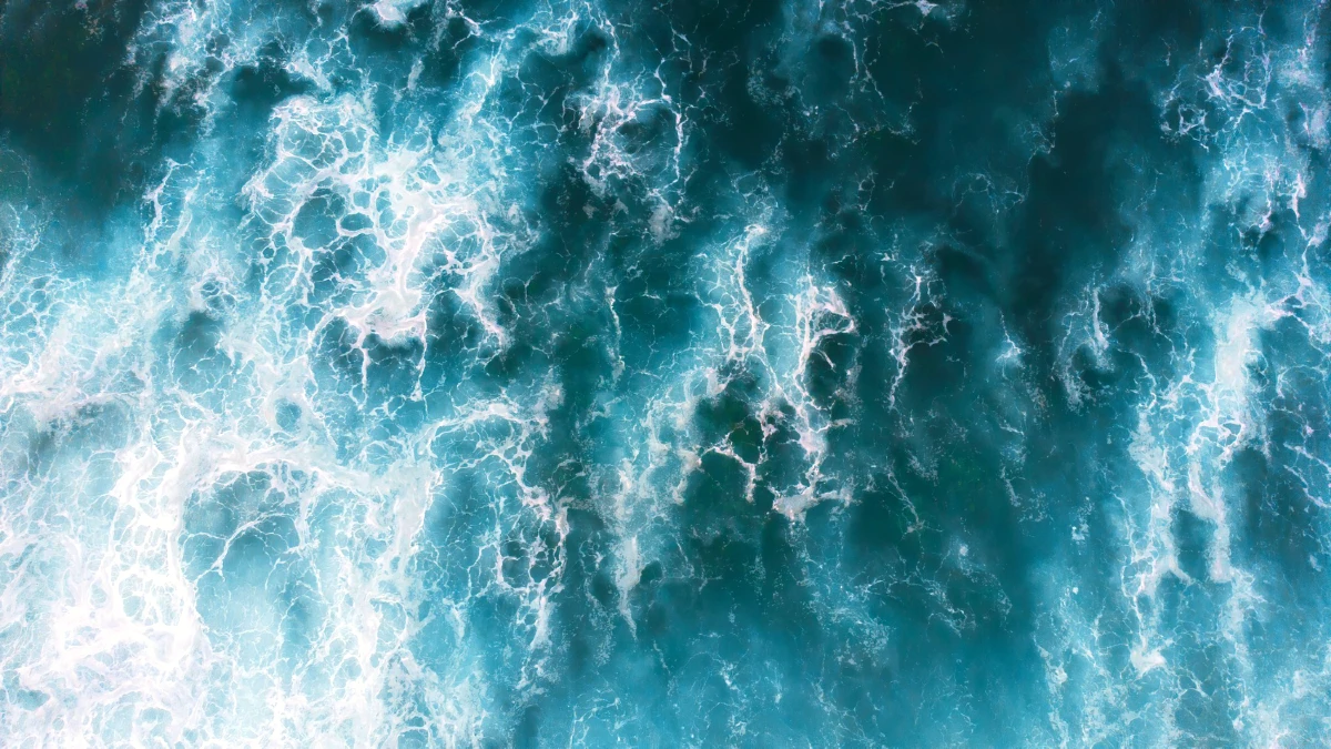 ocean portugal