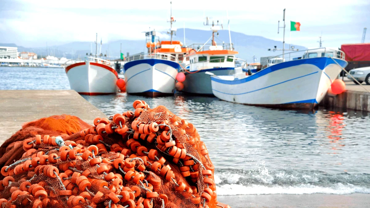 peche açores