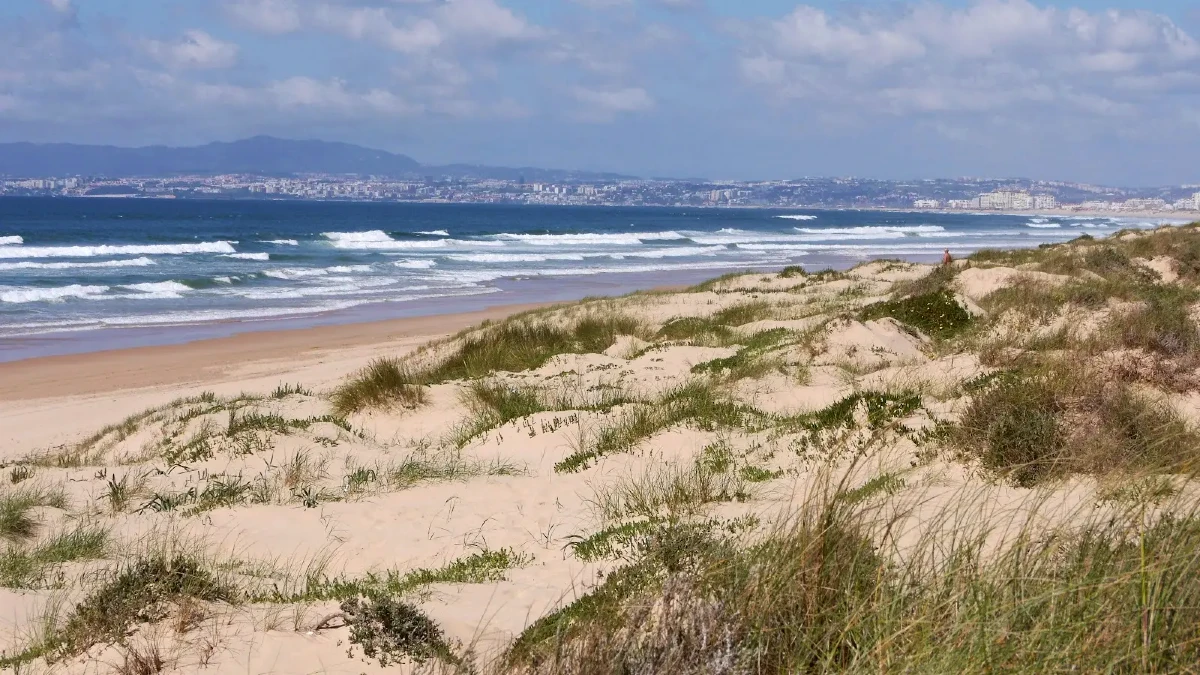 praia 19