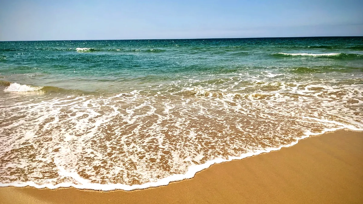 praia 19