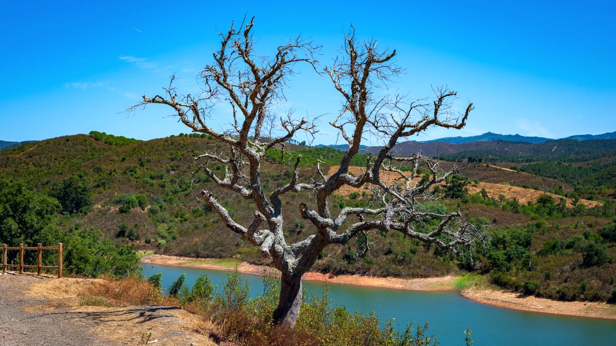 Serra do Espinhaço de Cão