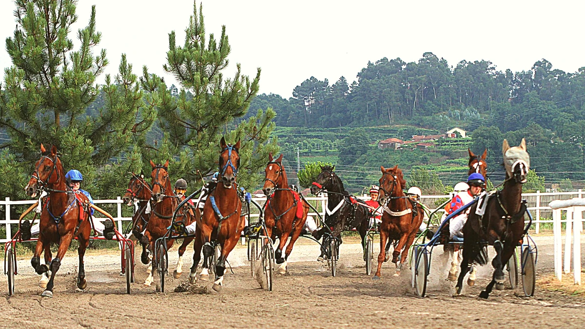 courses cheveaux portugal