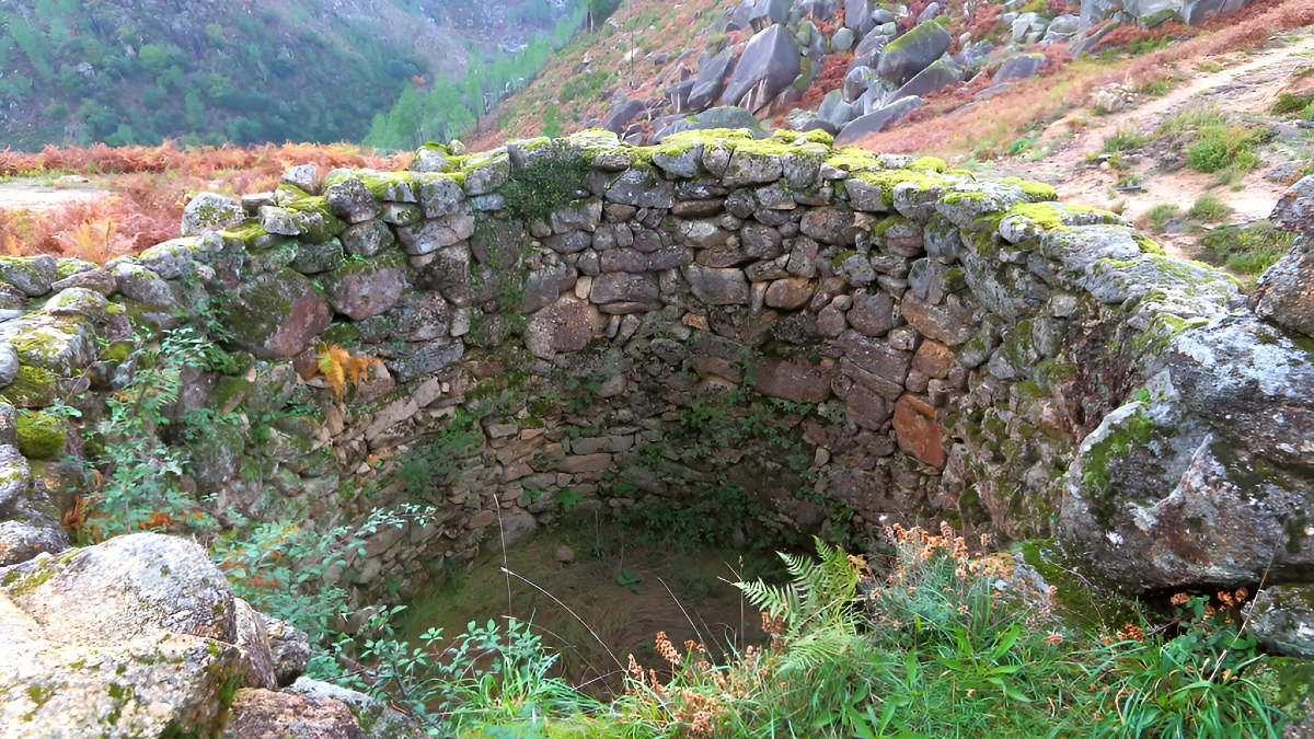 fojo de los lobos