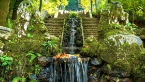foret bussaco bien etre