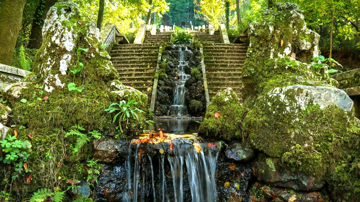foret bussaco bien etre