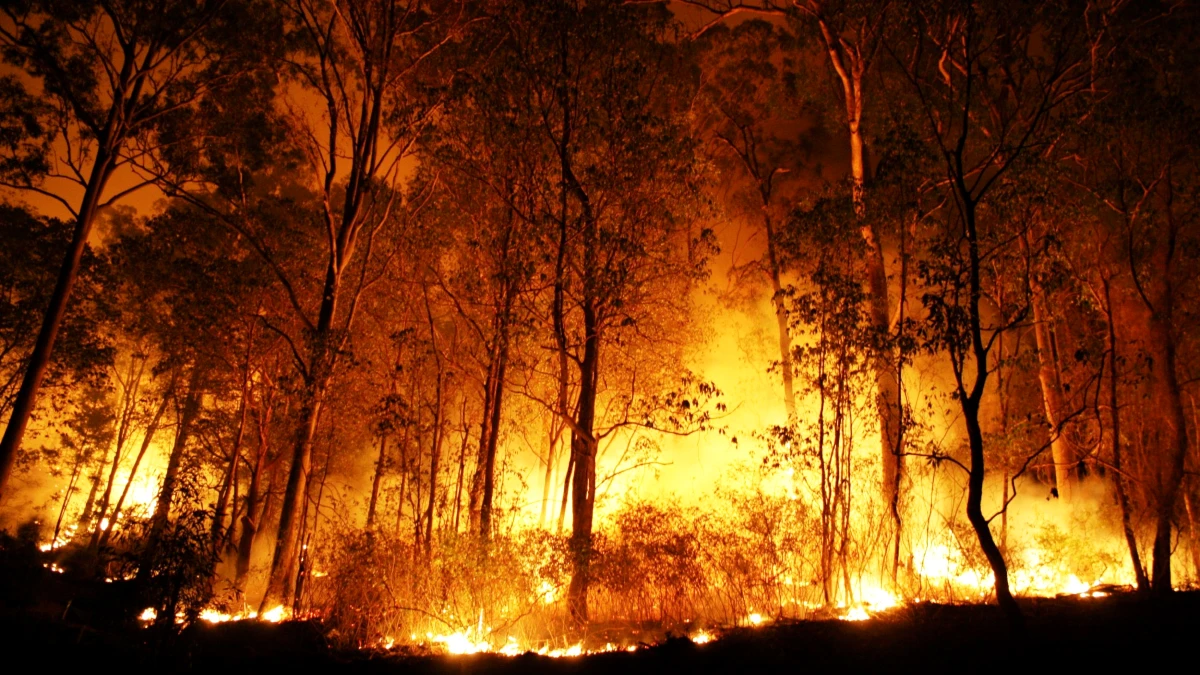incendie portugal 2030