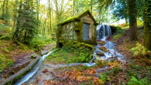 levada da vibora