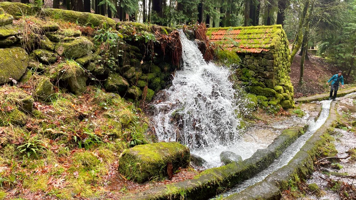 levada vibora eau