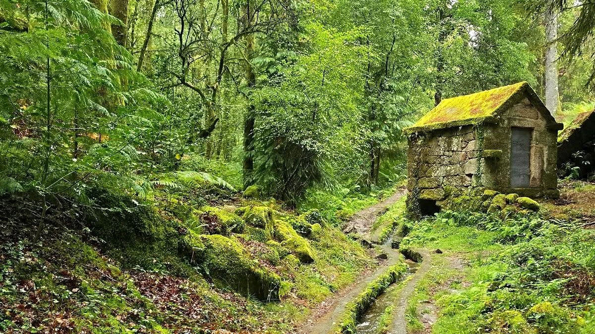 levada du roi dinis