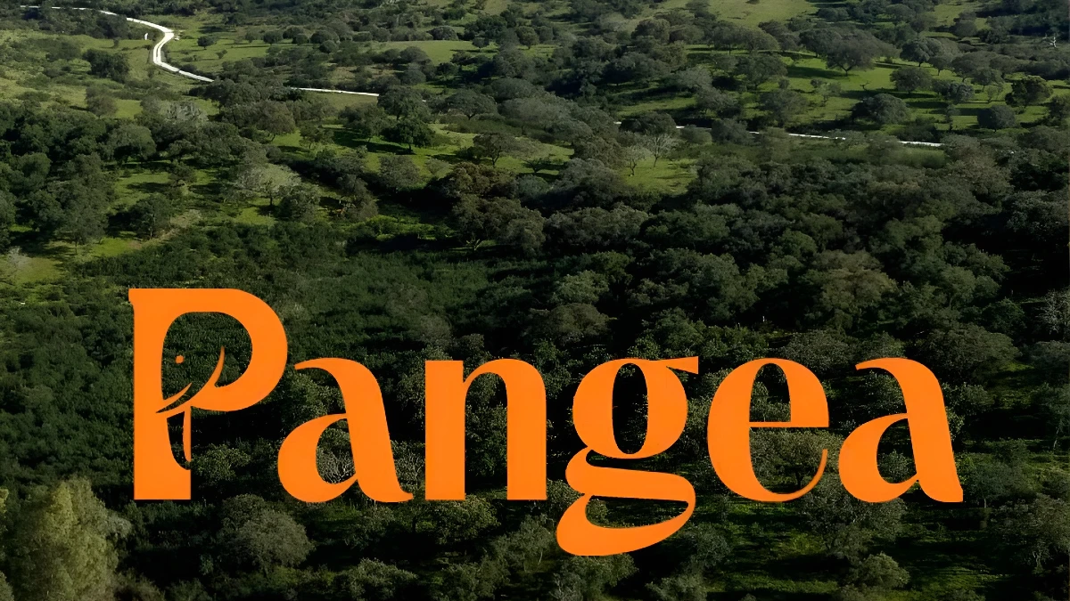 pangea