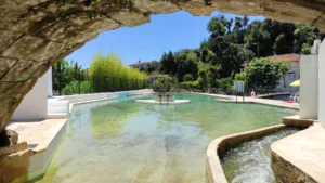 piscine naturelle ança