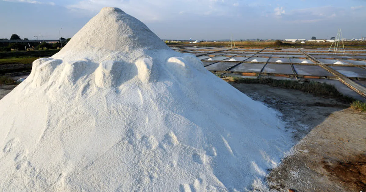 salines aveiro