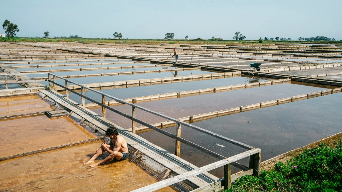 salines
