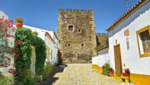 terena