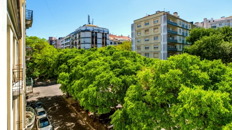 gentrification climatique