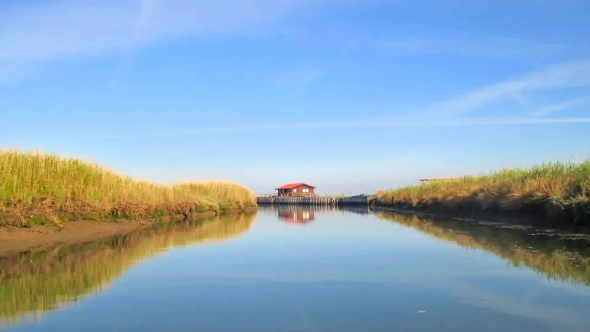 Ilha dos Puxadoiros