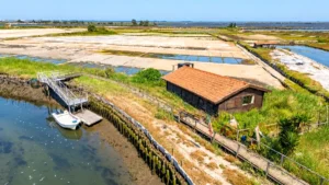 Ilha dos Puxadoiros