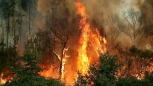 incendie portugal