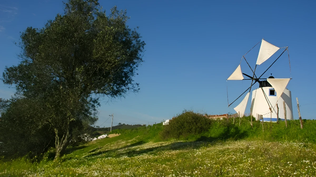 moulin odemira
