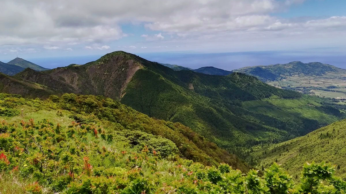 pico da vara