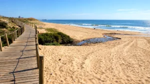 praia de brito