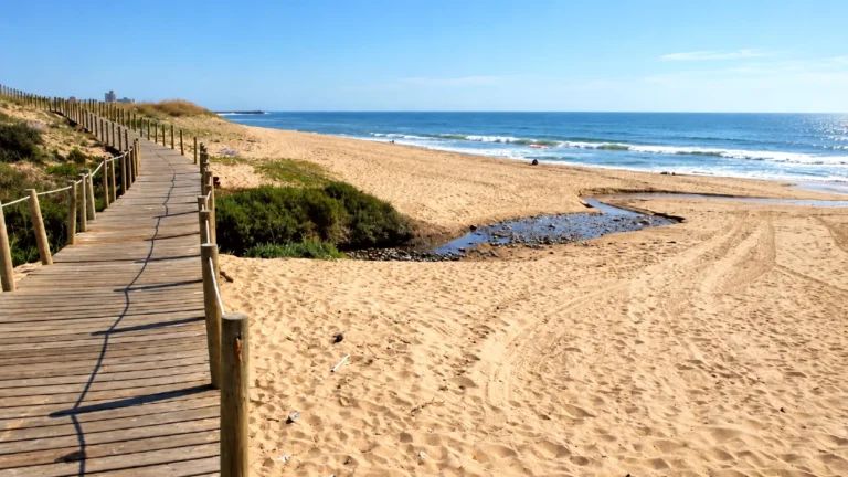 praia de brito
