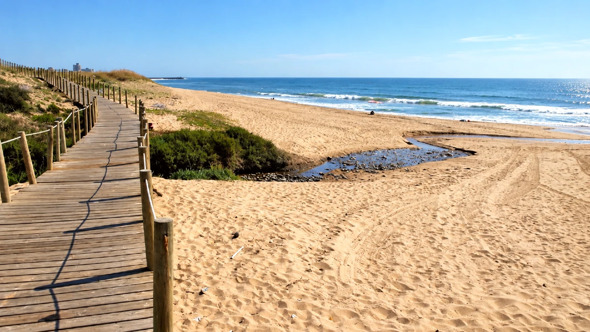 praia de brito