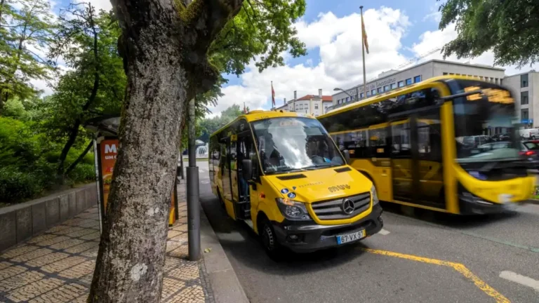 transports gratuits viseu