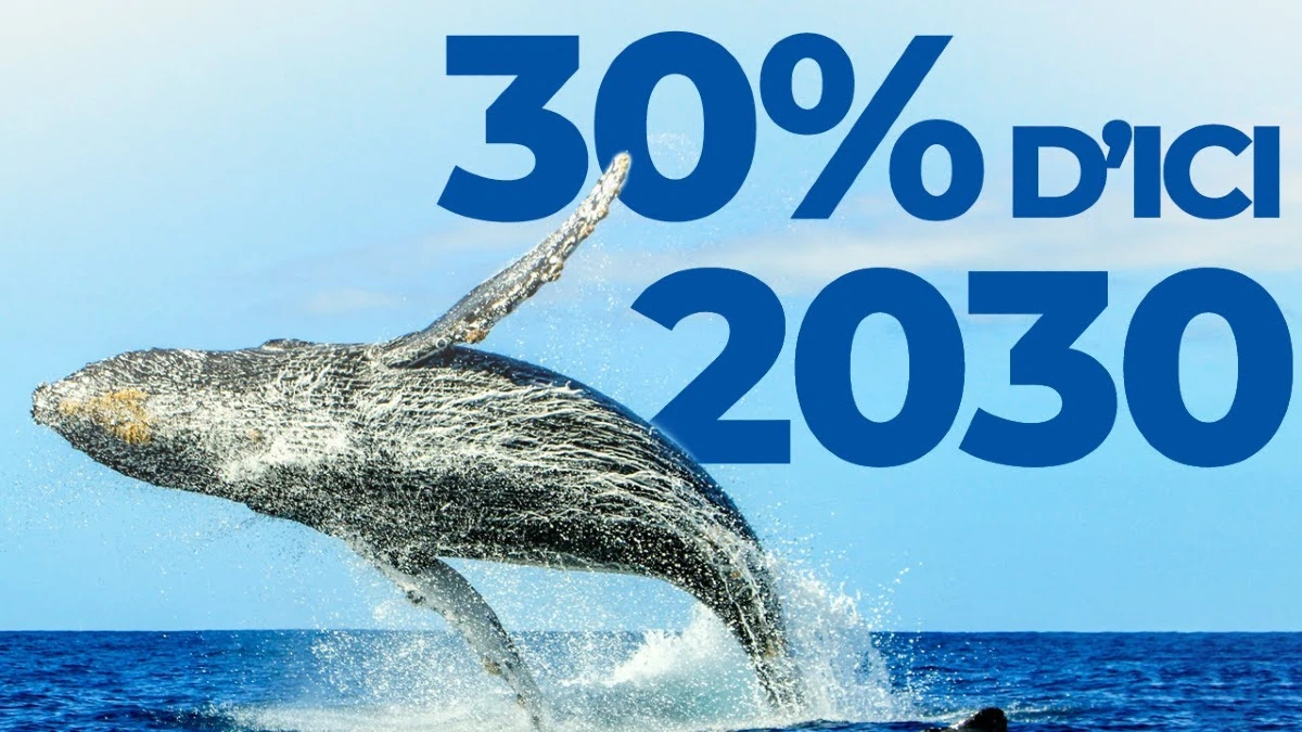 30 pourcent 2030