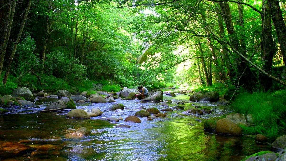 Bestança
