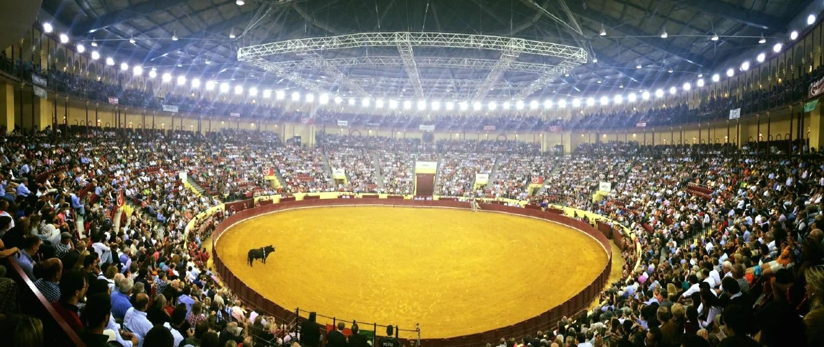 corrida lisbonne
