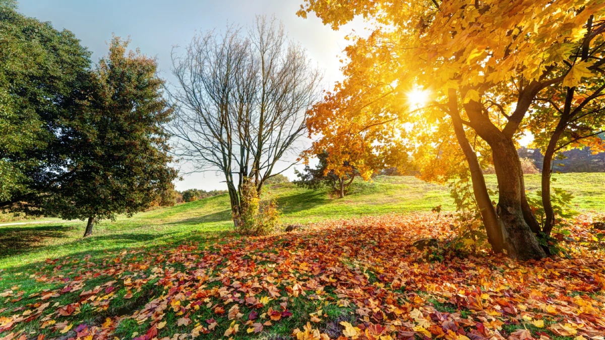 meteo octobre
