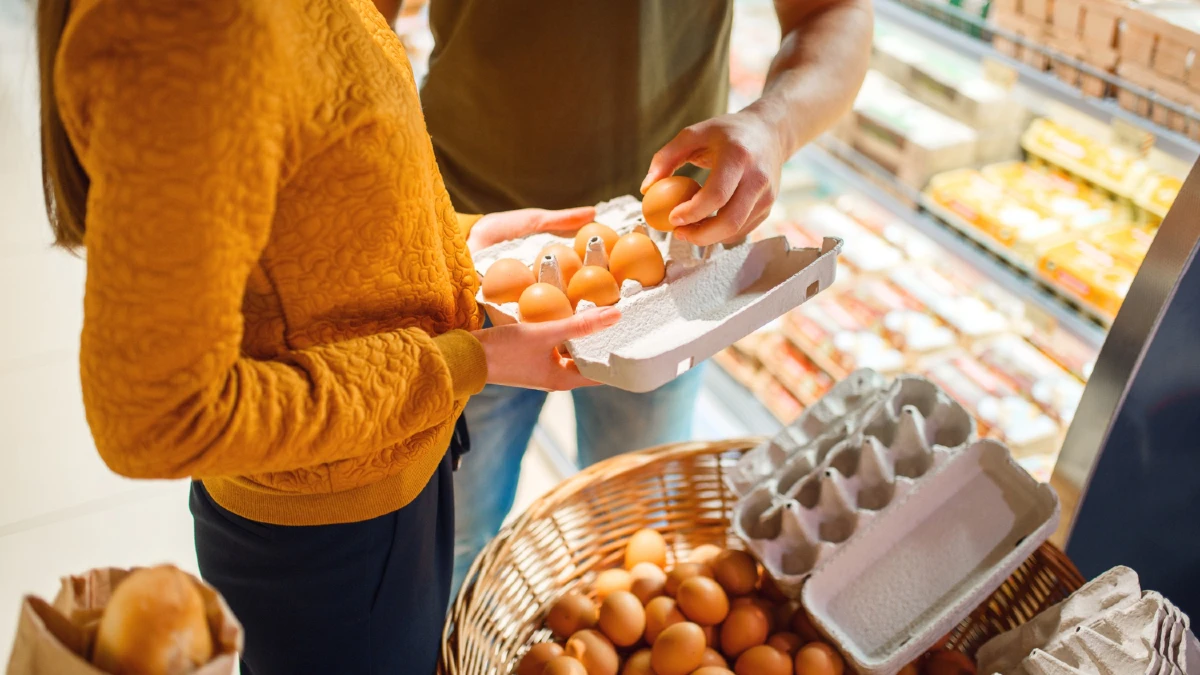 prix des oeufs