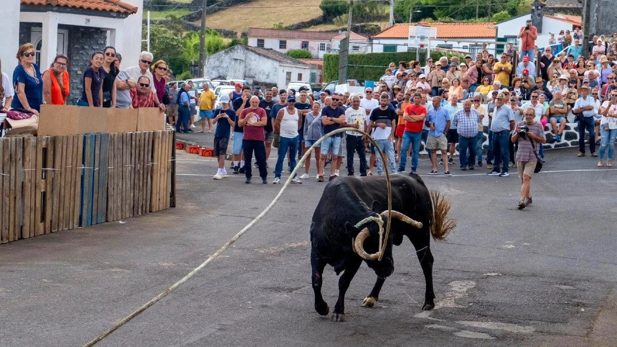 tourada à corda